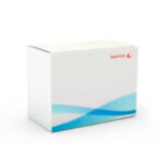 Rodillo De Transferencia Xerox 115R00126 Versalink C70XX
